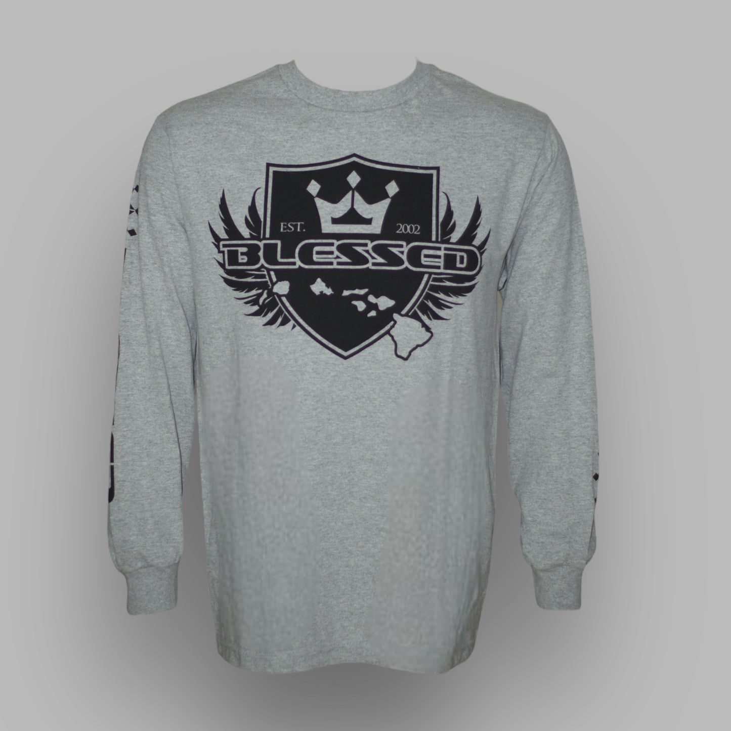 Men's Grey Longsleeve